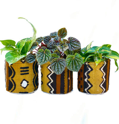 Plant Pouch, Mud Cloth in Earth Ride - The Wander Brand